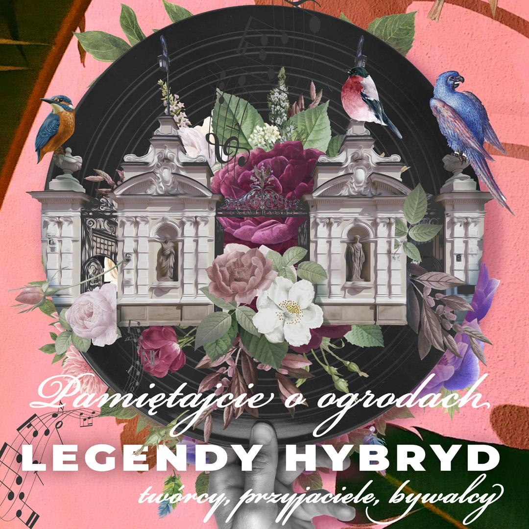 LEGENDY-HYBRYD-II.1x1